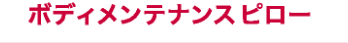 ボディメンテナンスピロー