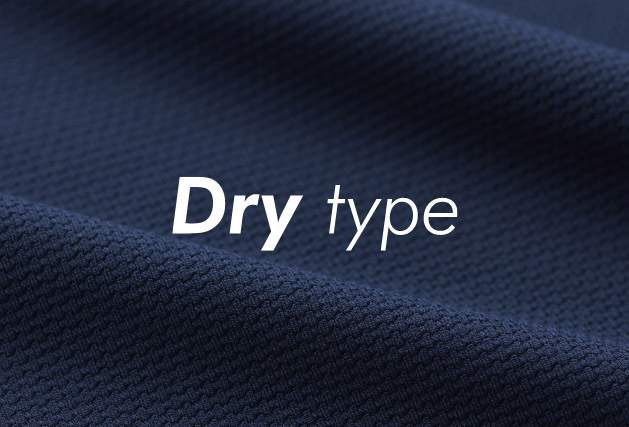 Dry type