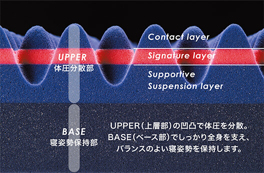 UPPER（上層部）の凹凸で体圧を分散。BASE（ベース部）でしっかり全身を支え、バランスのよい寝姿勢を保持します。