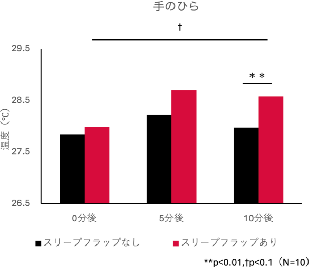 手のひら