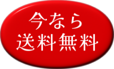 今なら送料無料
