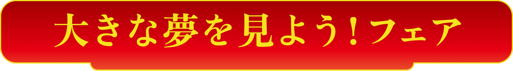 大きな夢を見よう！フェア